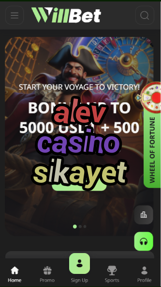 alev casino sikayet-asdasdzhjkds.com